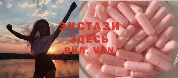 СК Пересвет