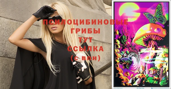 Альфа ПВП Баксан