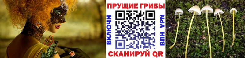 Псилоцибиновые грибы ЛСД  KRAKEN ONION  Буинск  где продают наркотики 